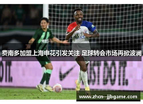 费南多加盟上海申花引发关注 足球转会市场再掀波澜 费南多加盟上海申花引发关注 足球转会市场再掀波澜